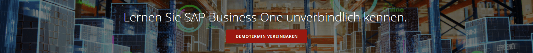 Banner Demotermin vereinbaren Wrede GmbH SAP Business One Partner