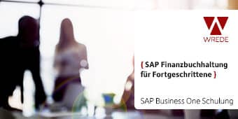 Finanzbuchhaltung für Fortgeschrittene SAP B1 Schulung